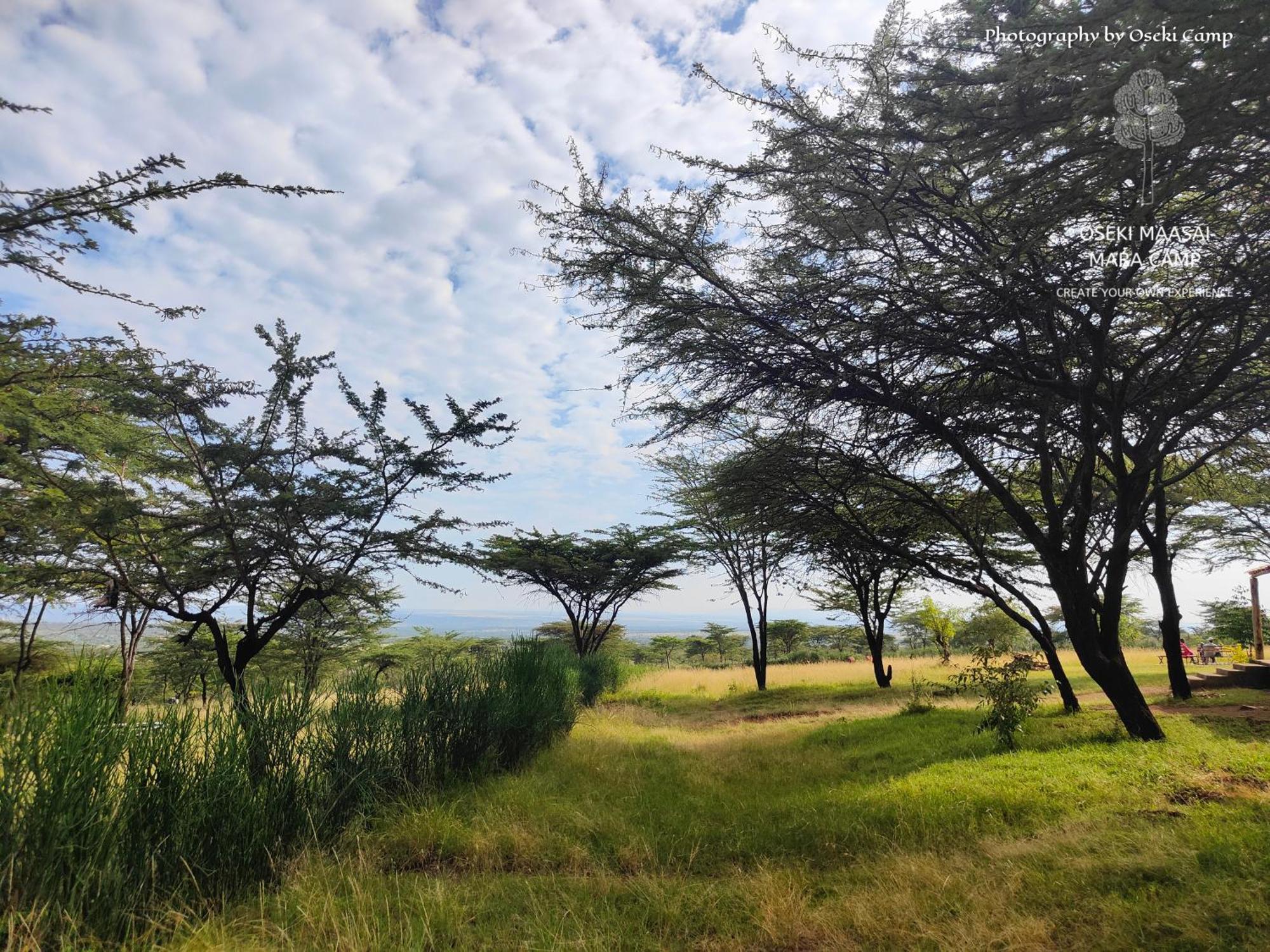 Hotel Oseki Maasai Mara Camp Narok Esterno foto